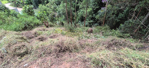 Lote / Terreno em Jardim Santo Antonio  -  Caieiras