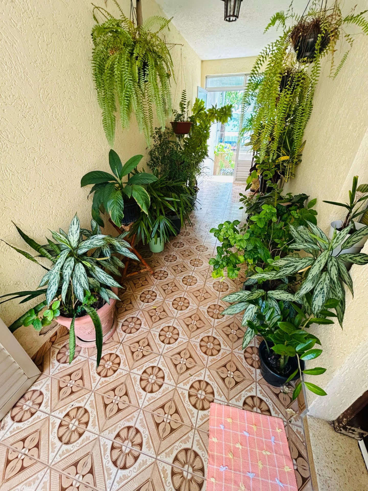 Casa à venda com 3 quartos, 1 suíte e 2 vagas no Chácara Inglesa, São Paulo (SP) — foto 14 de 21