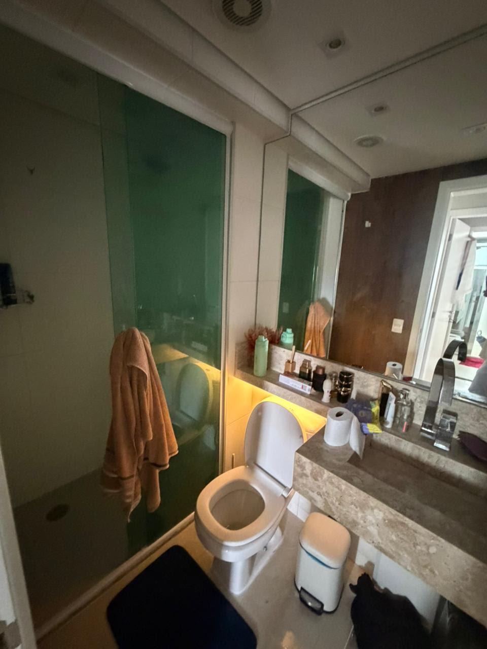 Apartamento à venda com 2 quartos, 1 suíte, 2 vagas e 74m² no Piqueri, São Paulo (SP) — foto 20 de 24