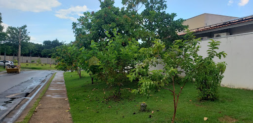 Casa em Condomínio Rio São Lourenço - Cuiabá, MT