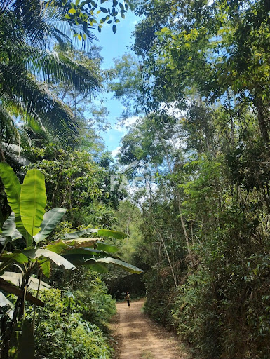 Sítio à Venda em Melgacinho – Domingos Martins/ES por R$ 1.350.000,00