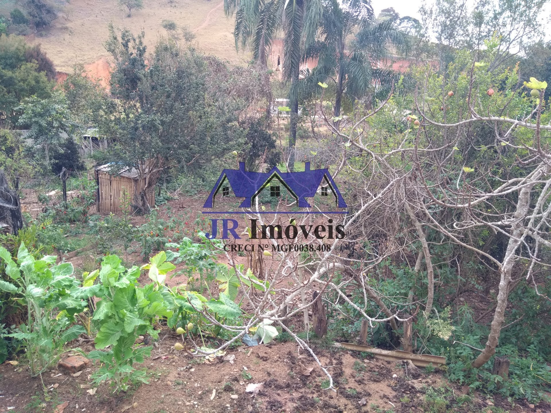 Rural à venda com 2500m² de terreno no Santa Barbara, Piranguinho (MG) — foto 10 de 28