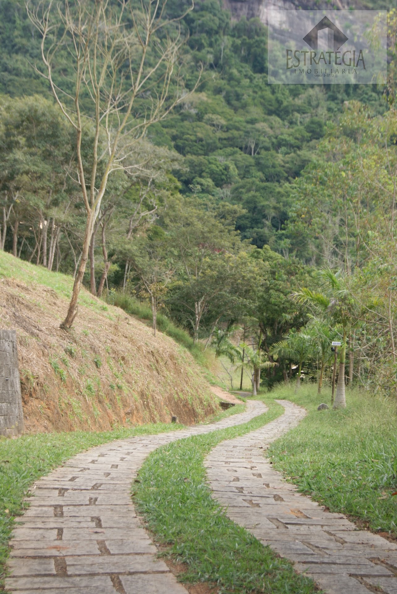 Terreno à venda com 1000m² de terreno no Posse, Petrópolis (RJ) — foto 11 de 12
