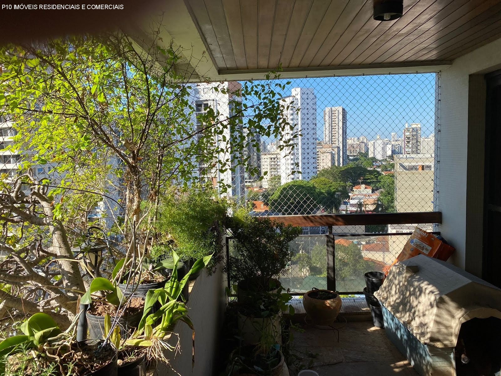 Foto 01