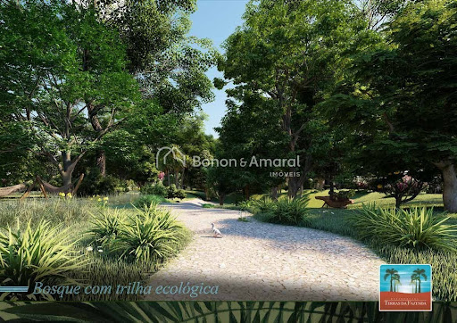 Terreno, 12 m² - Foto 5