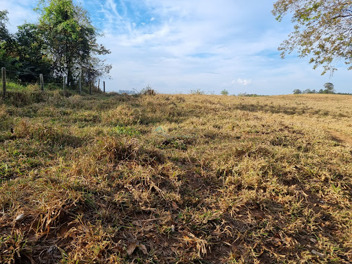 Sítio a venda em Casa Branca SP
