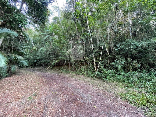 Foto 07