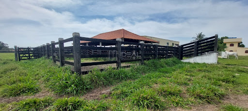 Propriedade Rural para venda em Campos dos Goytacazes com 42 Alqueires