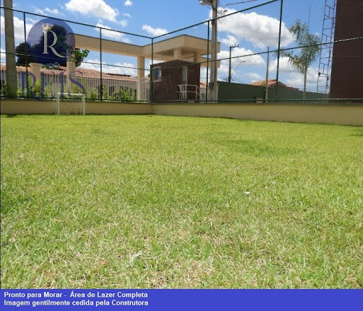 Campo Gramado