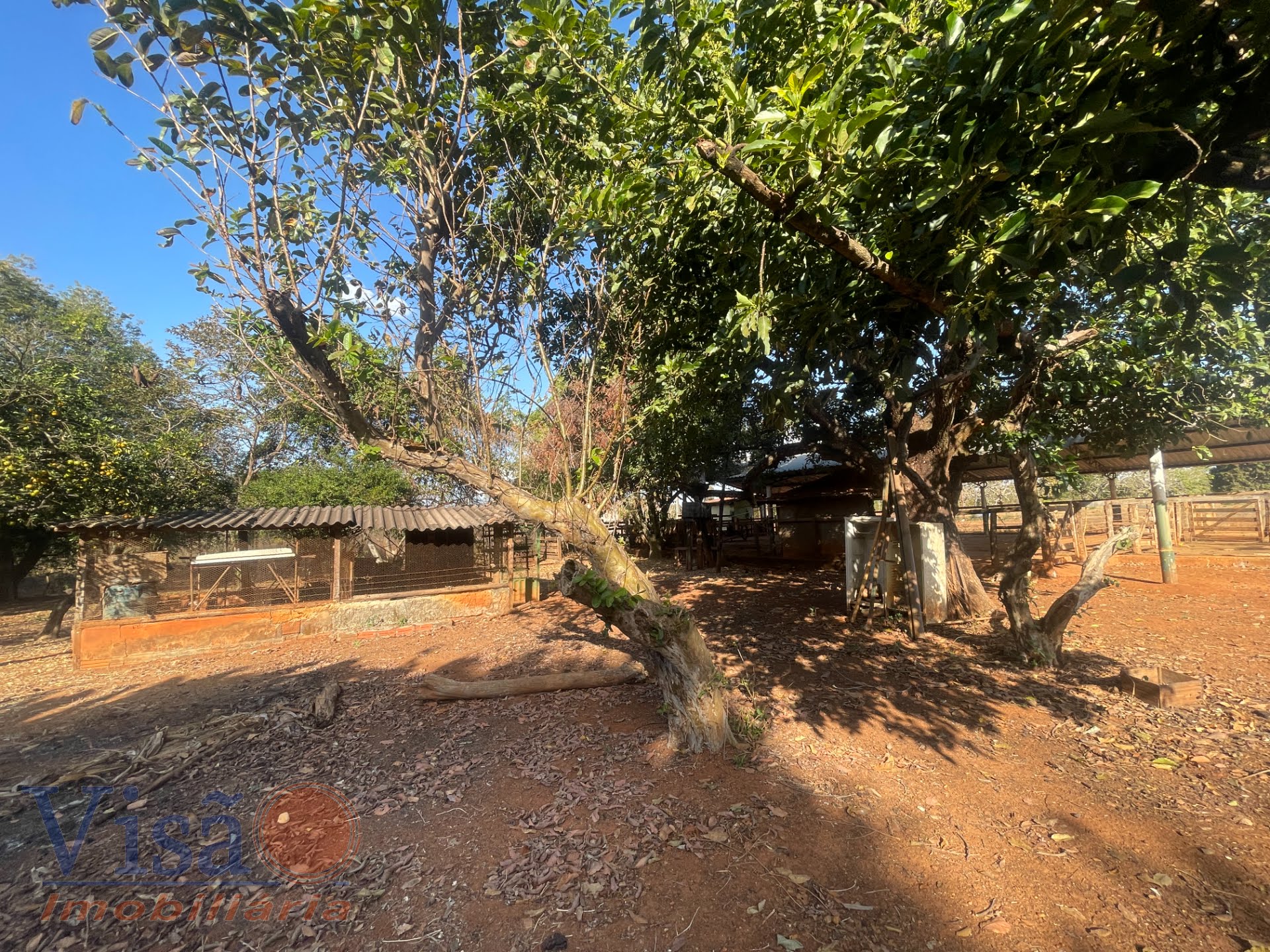 Rural à venda no Fazd, Paracatu (MG) — foto 5 de 22
