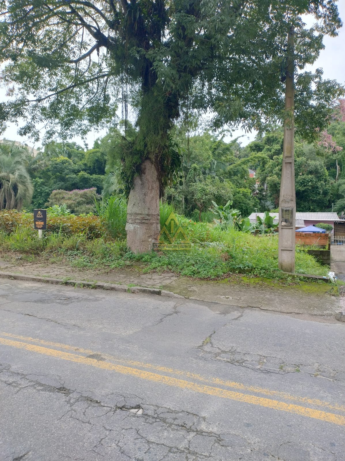 Terreno à venda com 160m² de terreno no Ribeirão Fresco, Blumenau (SC) — foto 6 de 9