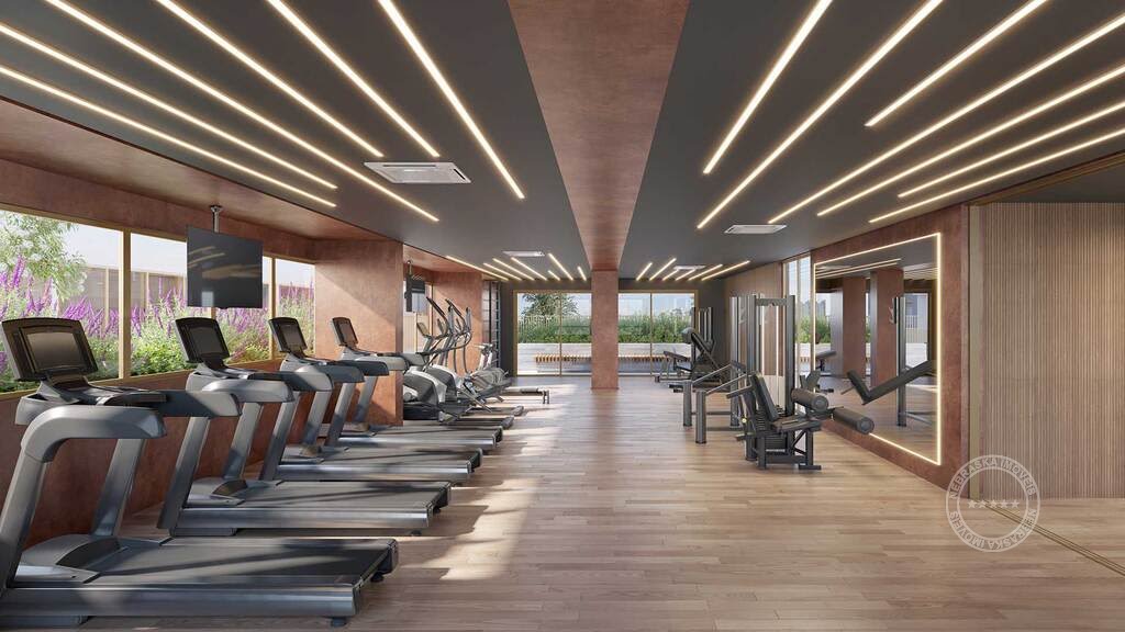 Fitness