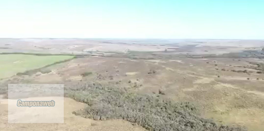 Vista aérea da propriedade