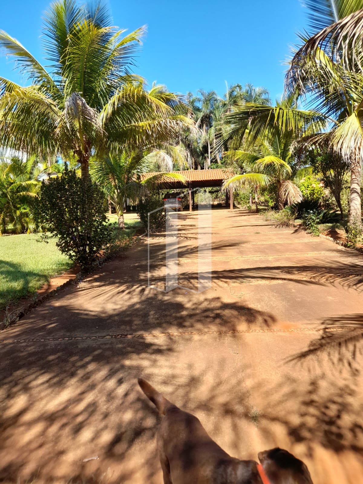 Rural à venda com 1000m² de terreno no Chácaras Vargem Bonita II, Senador Canedo (GO) — foto 4 de 23