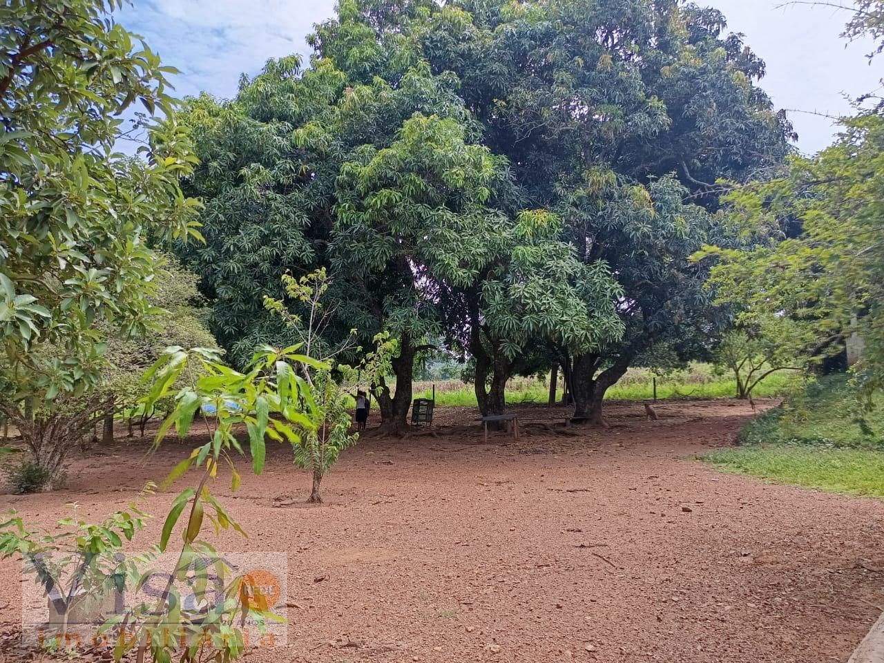Rural à venda no Rural, Paracatu (MG) — foto 2 de 10