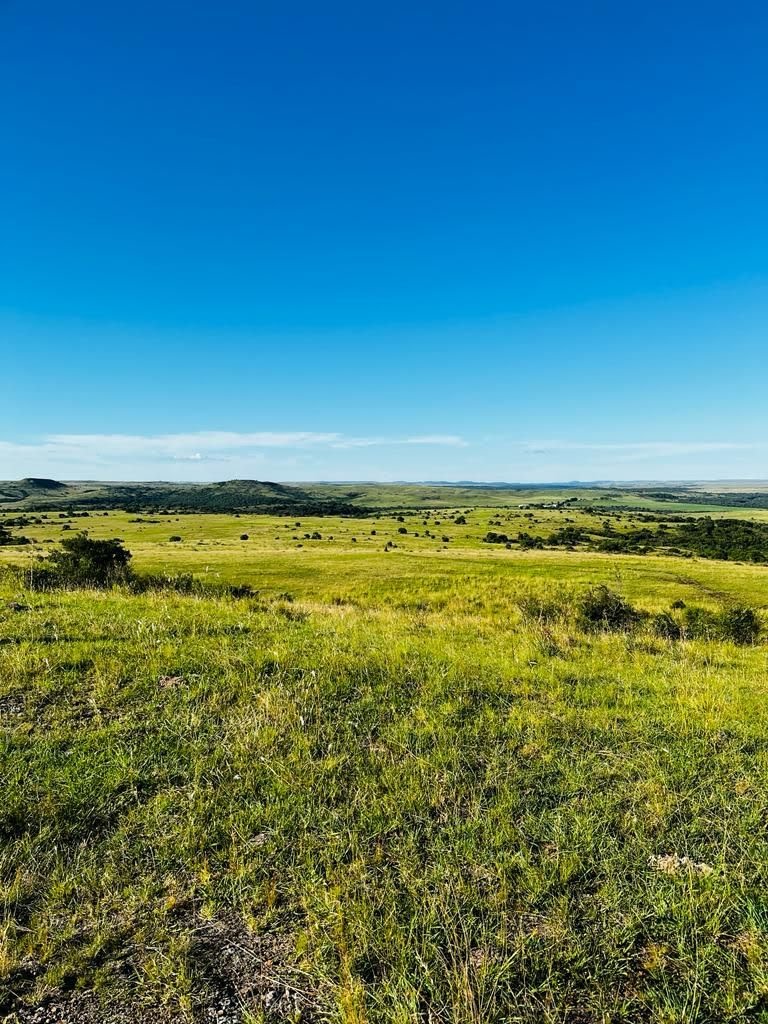 Fazenda em Área Rural de Santana do Livramento - Sant'ana do Livramento | Imobiliária Camponaweb em Santa Cruz do Sul