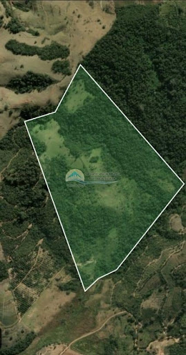 Sítio à Venda em São Roque da Fartura/SP - Sítio