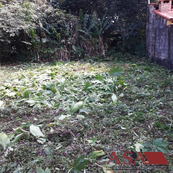 Foto 02