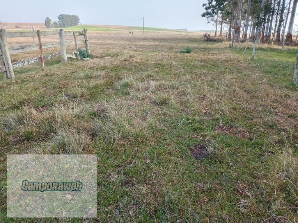 área rural próxima ao asfalto