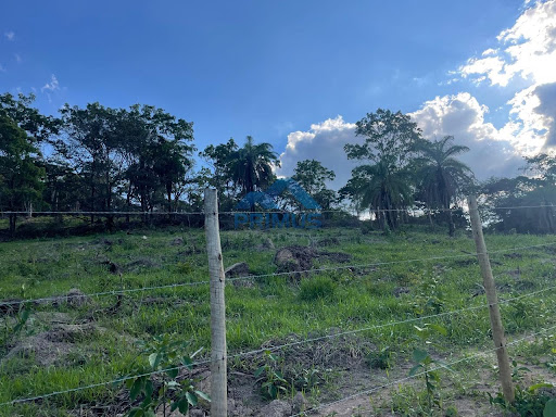 Terreno em Sítio Novo  -  Mateus Leme