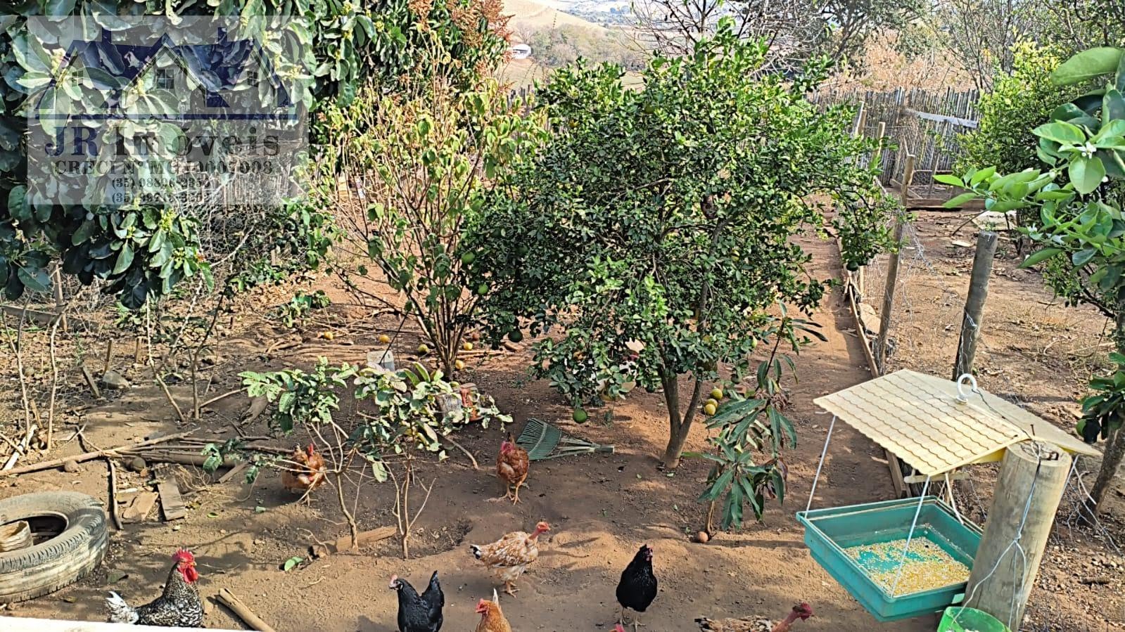 Rural à venda com 1400m² de terreno no Bairro dos Forros Proximo da Represa, São José do Alegre (MG) — foto 13 de 29