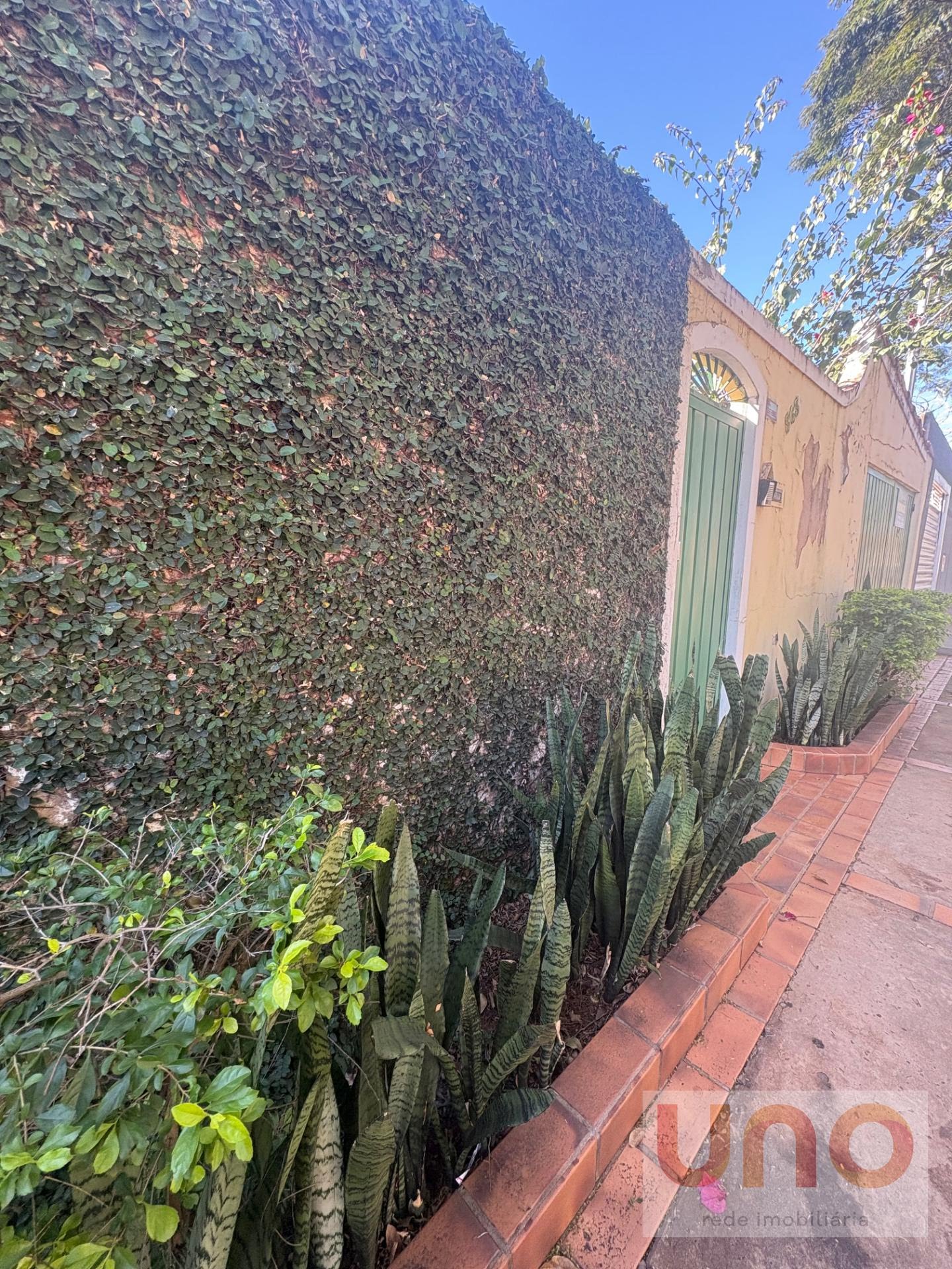Casa à venda com 3 quartos, 1 banheiro, 5 vagas e 328m² no Universitário, Campo Grande (MS) — foto 9 de 30