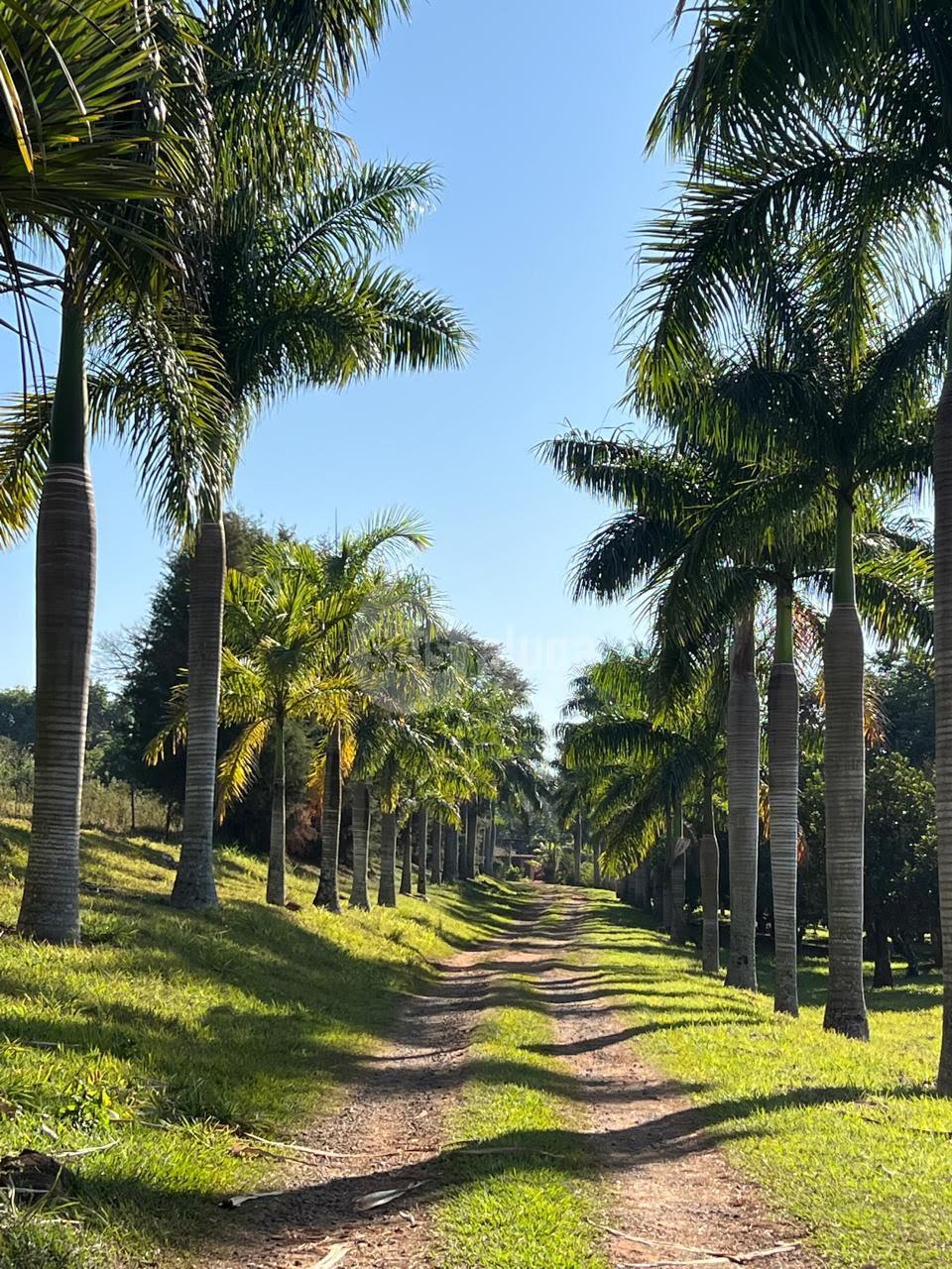 Entrada