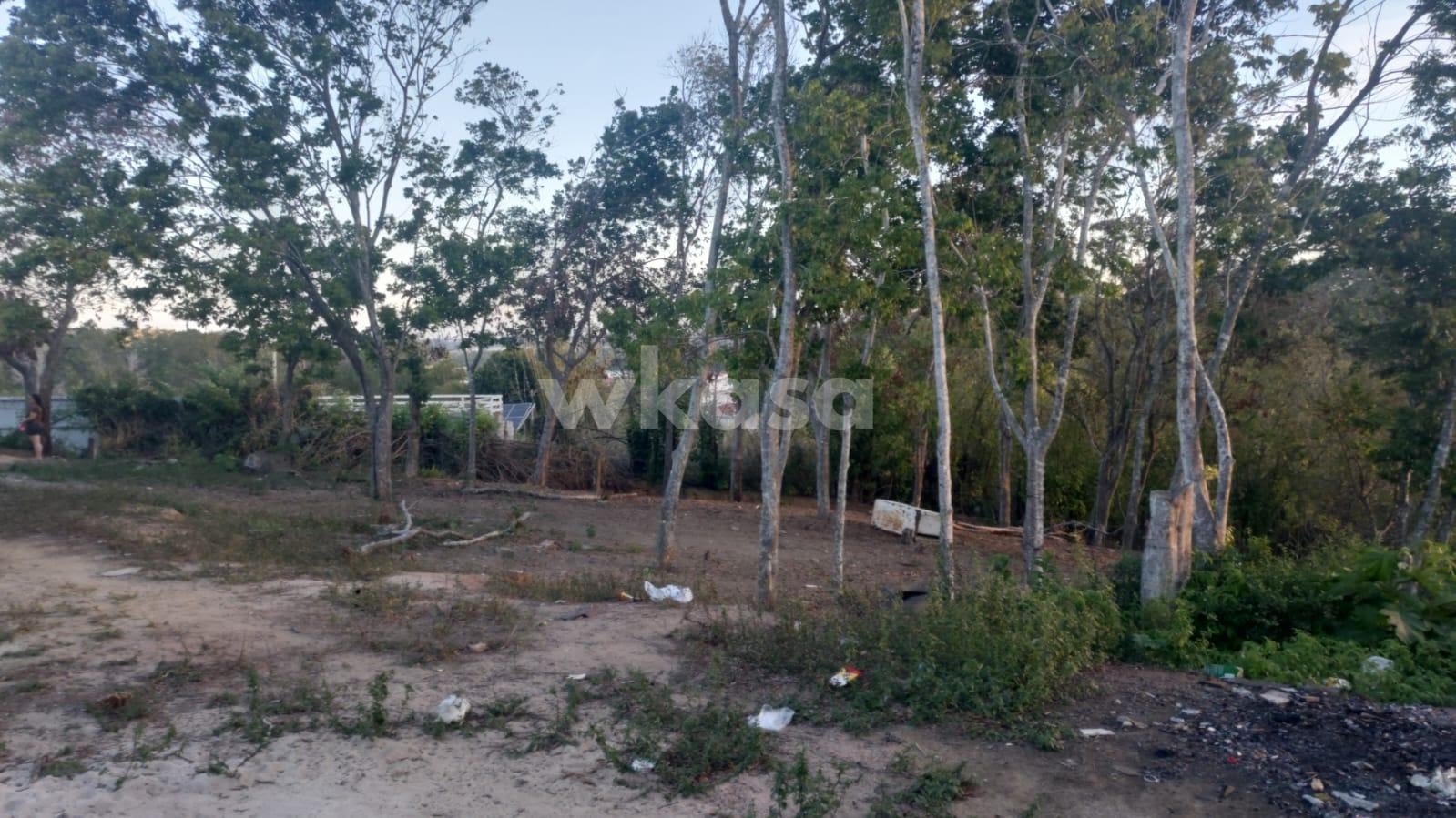 Terreno à venda no Direção, Fundão (ES) — foto 12 de 15