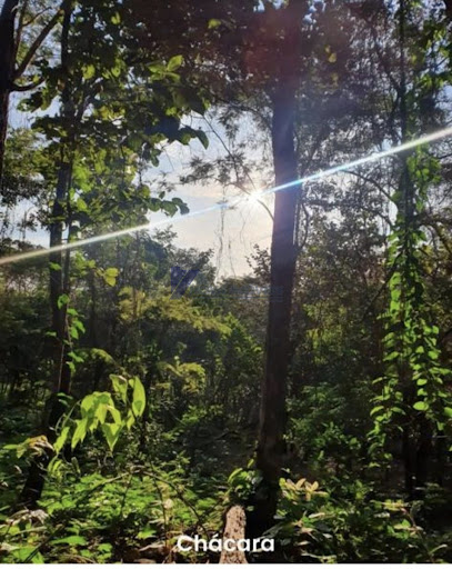 Chácara em zona rural  -  Santa Helena de Goiás