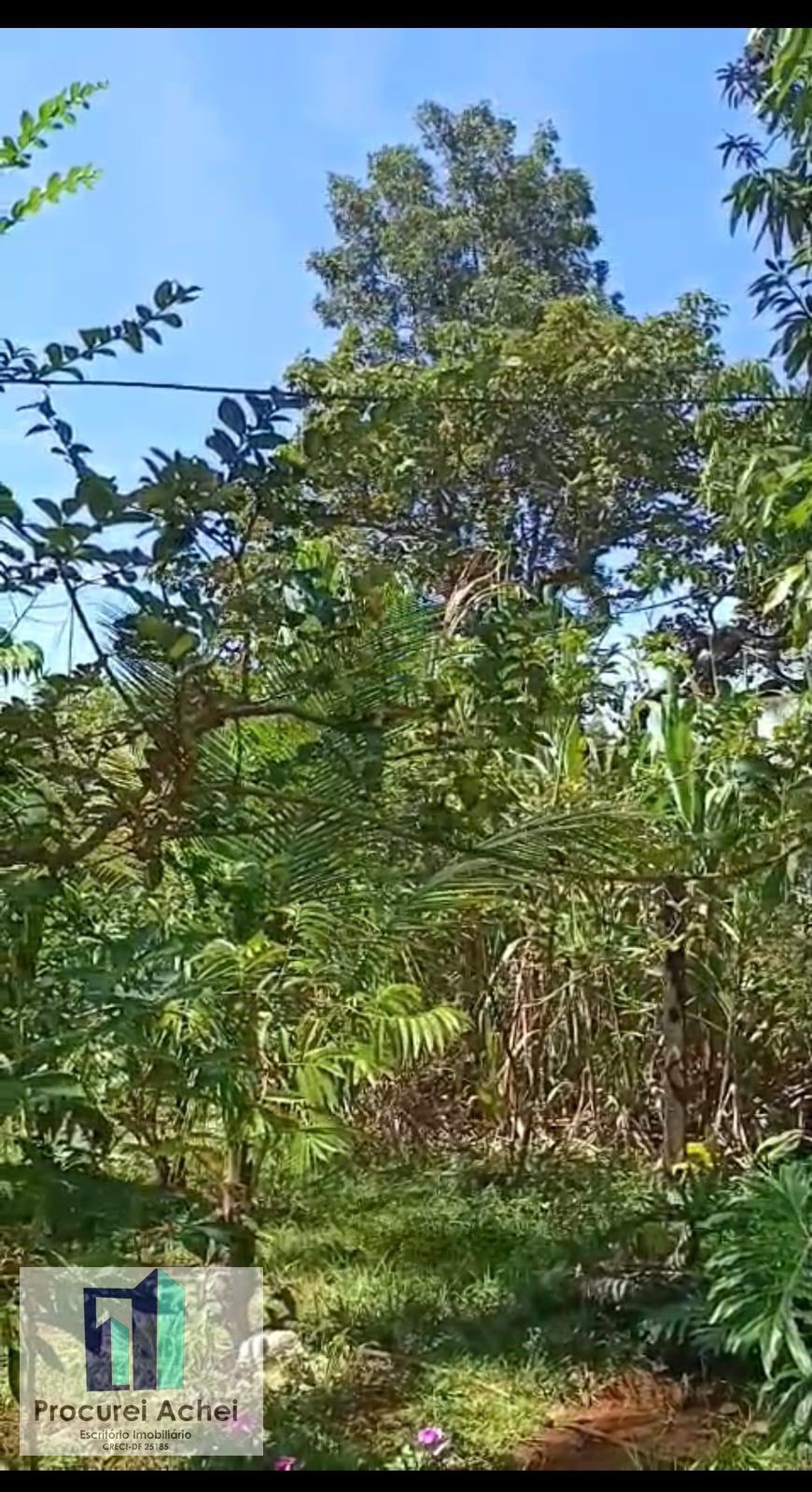 Rural à venda com 1900m² de terreno no Planaltina, Brasília (DF) — foto 20 de 25