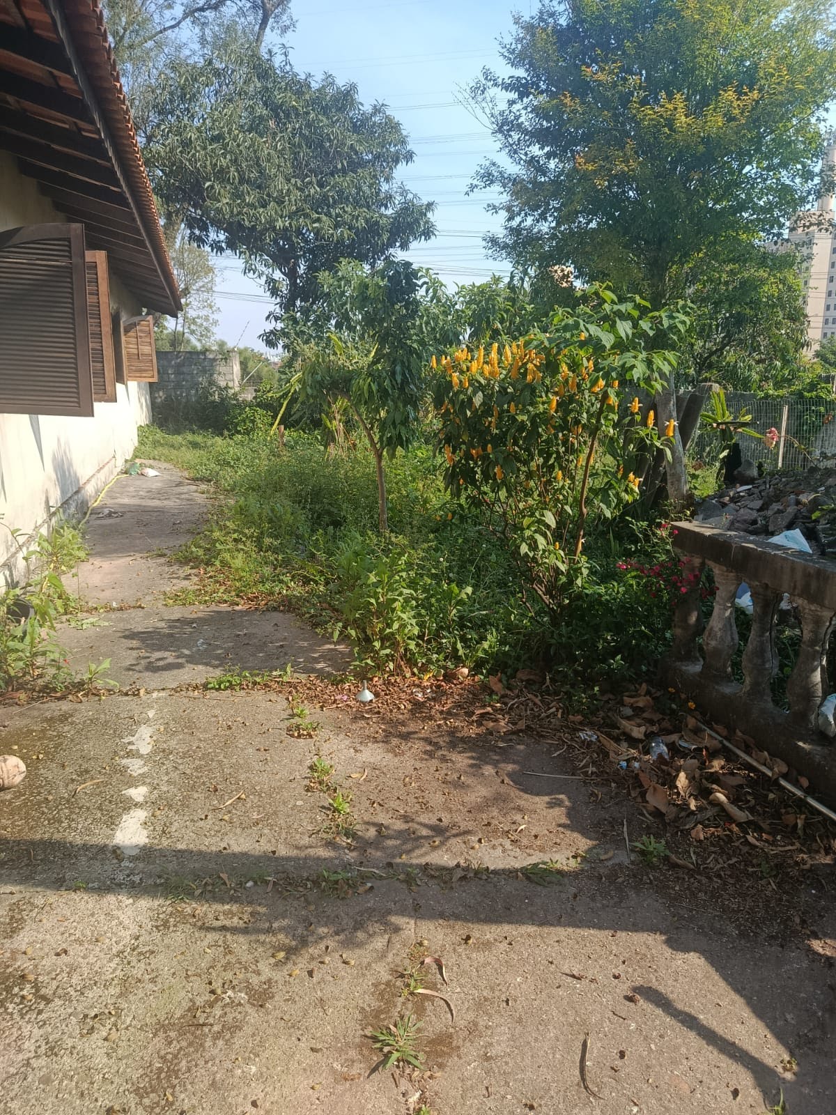 Apartamento à venda no Jardim Mangalot, São Paulo (SP) — foto 15 de 17