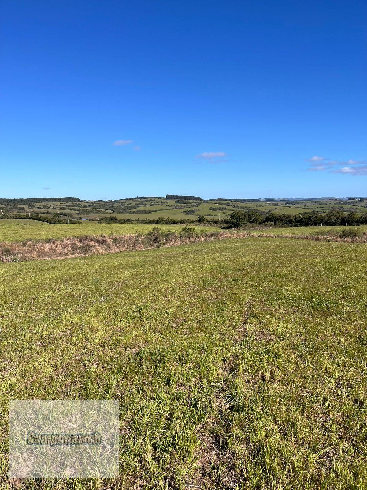 Fazenda para soja no RS