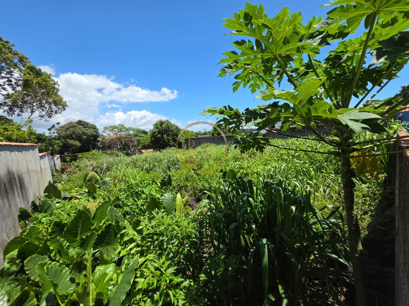 Terreno à venda com 600m² de terreno no Village II, Porto Seguro (BA) — foto 9 de 12