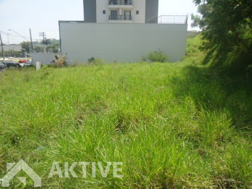 Foto 02