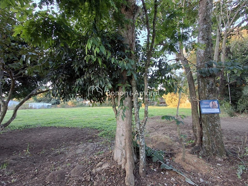 Terreno, 12 m² - Foto 6