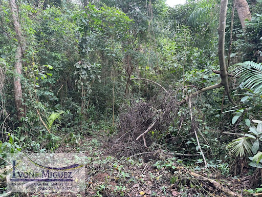 Terreno em Vale Das Videiras  -  Paty do Alferes