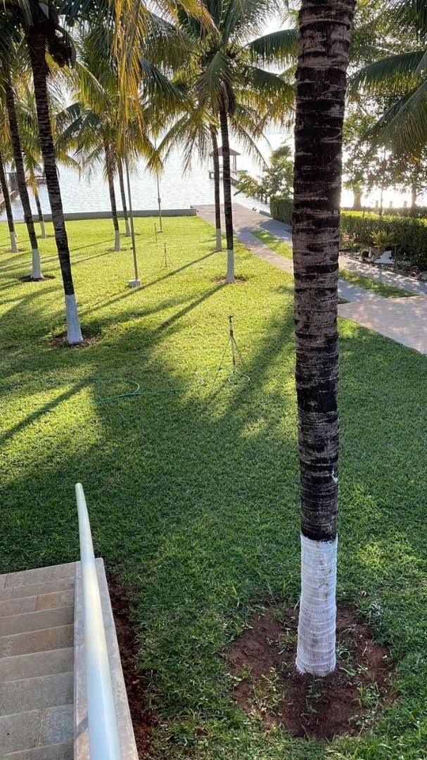 Terreno à venda com 5000m² de terreno no Zona Rural, Buritama — foto principal