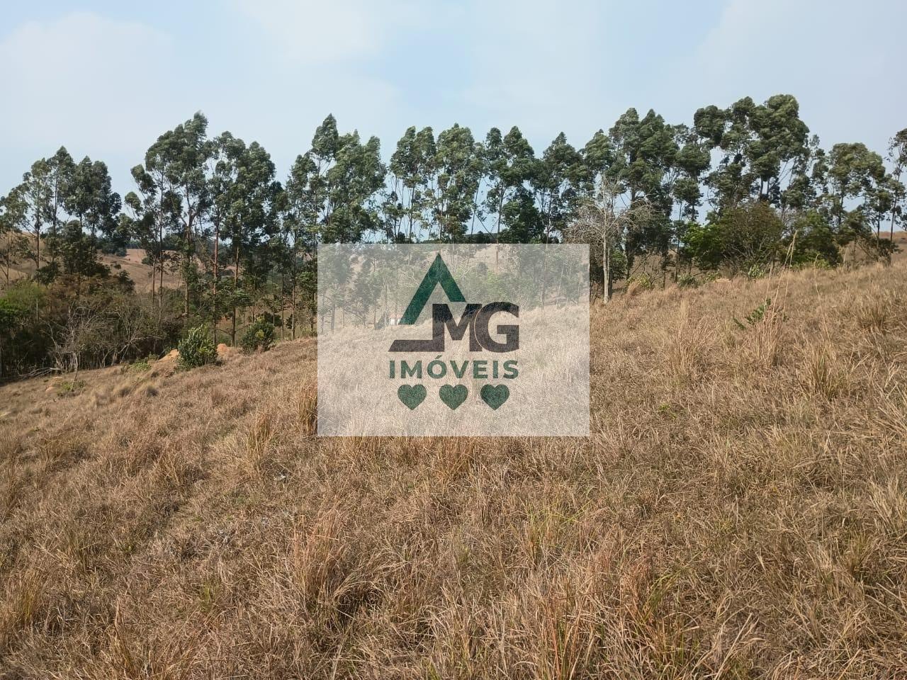 Terreno à venda com 30000m² de terreno no Bairro Rural, São Thomé das Letras (MG) — foto 4 de 5