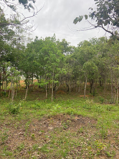 Área em Rodovia Br - 040  -  Sete Lagoas