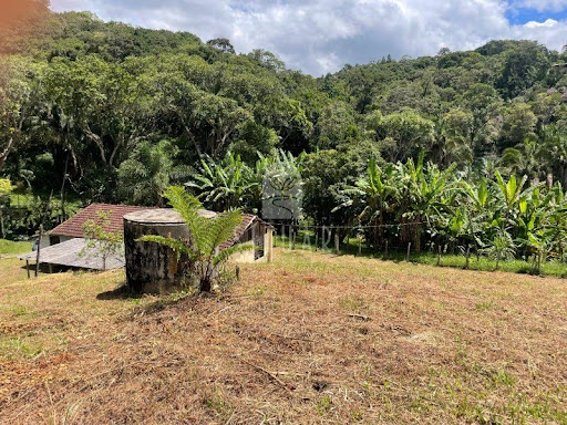 Foto 05