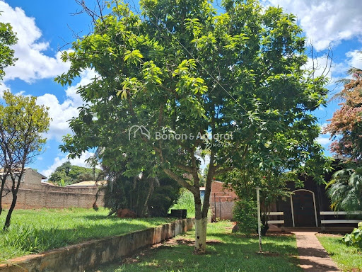 Chácara, 4 quartos, 600 m² - Foto 16