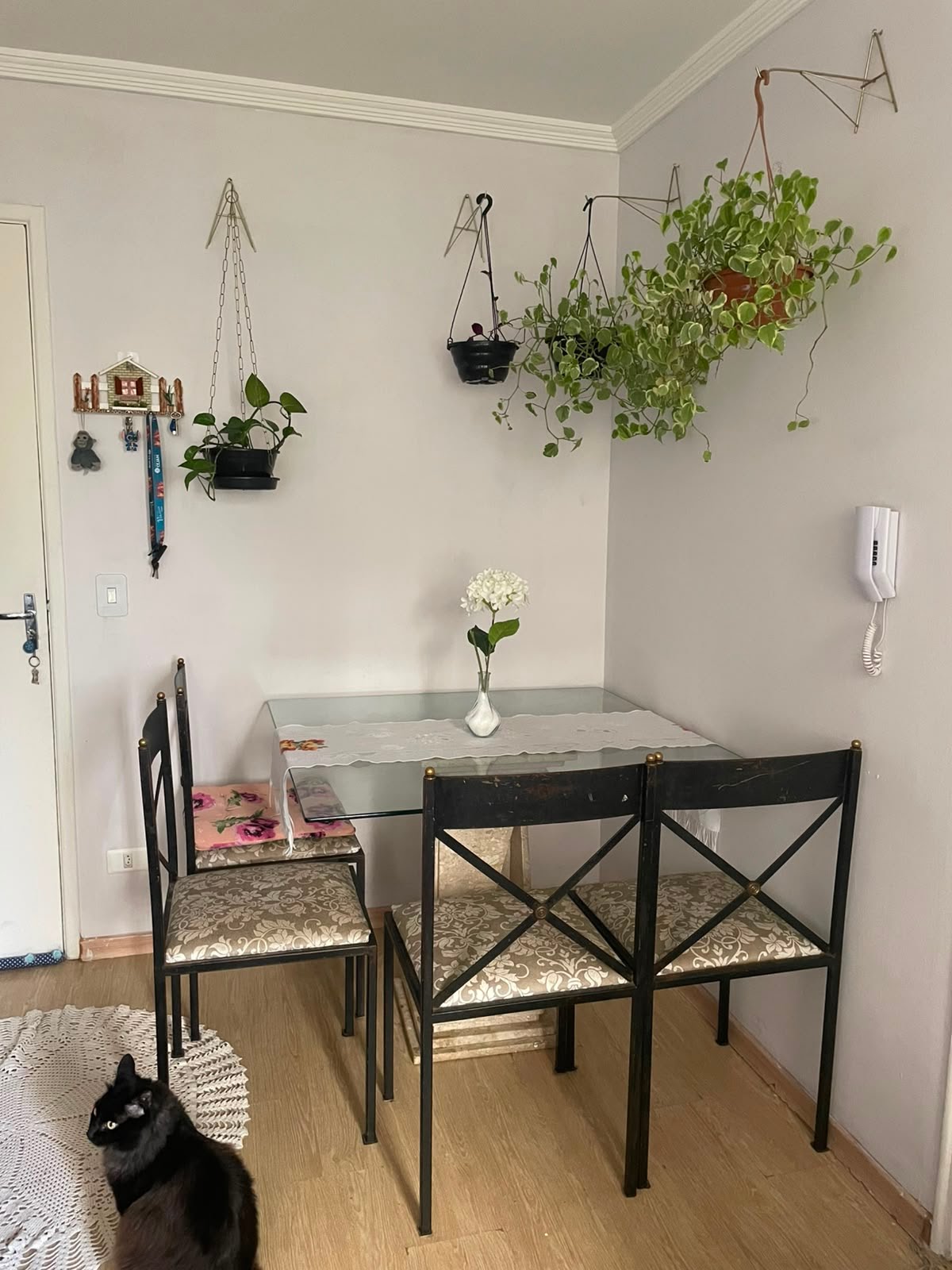Apartamento à venda com 1 quarto, 1 banheiro, 1 vaga e 38m² no Vila Jaraguá, São Paulo (SP) — foto 8 de 27