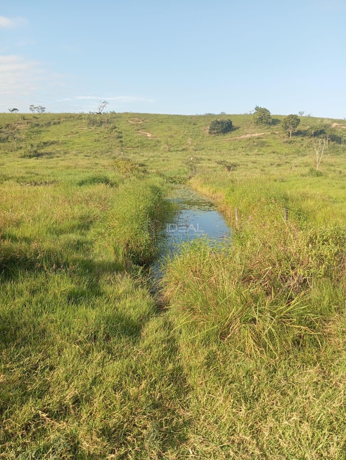 Rural à venda com 1280000m² de terreno no Valão Seco, São Francisco de Itabapoana (RJ) — foto 13 de 30