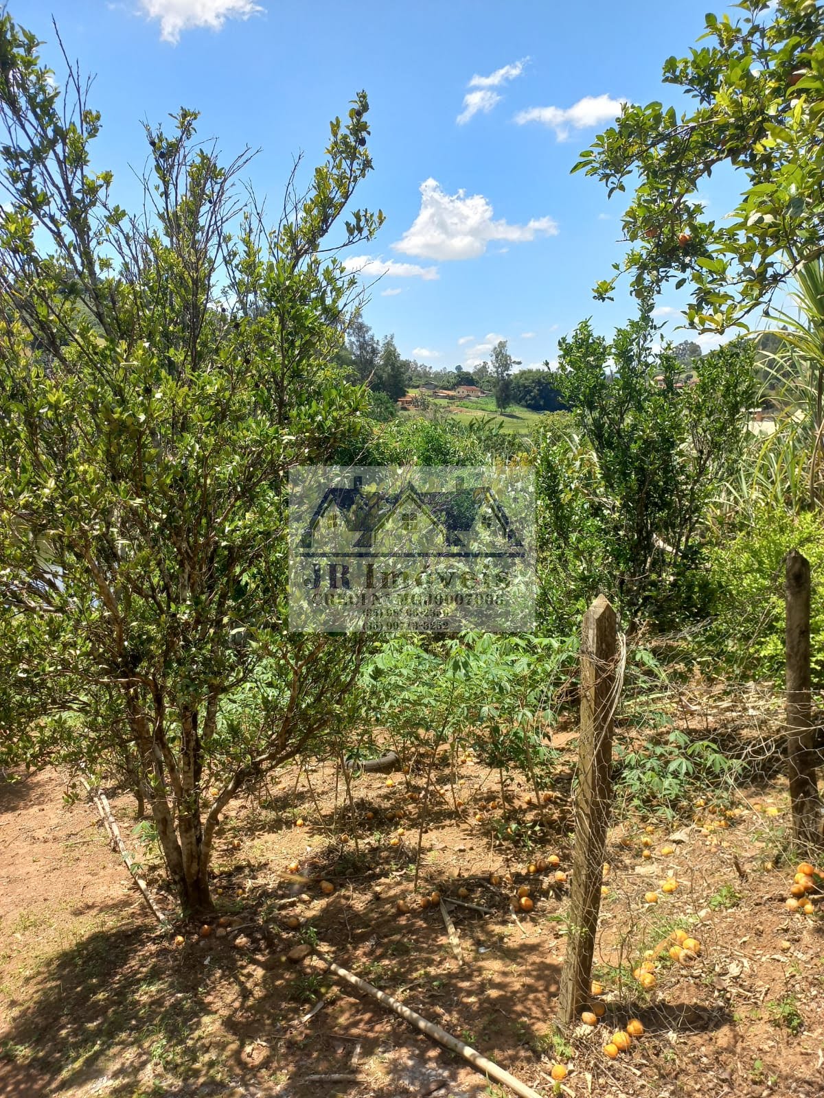 Rural à venda com 1500m² de terreno no Pinhal Redondo, Piranguinho (MG) — foto 17 de 30