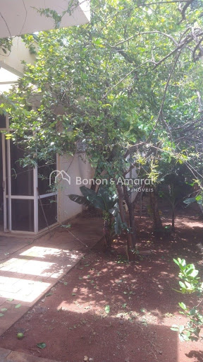 Casa, 3 quartos, 436 m² - Foto 13