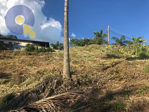 Terreno em Condomínio Loureiro  -  Amparo