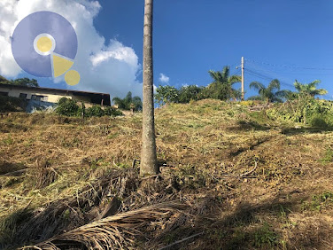 Terreno em Condomínio Loureiro  -  Amparo