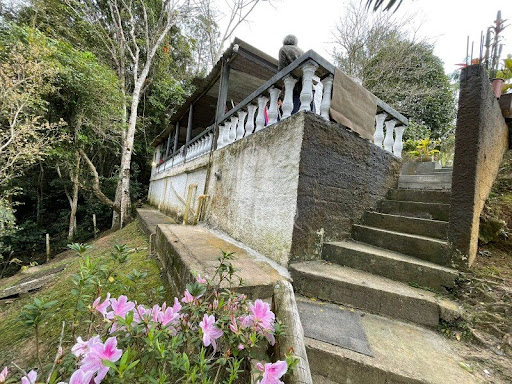 Foto 06