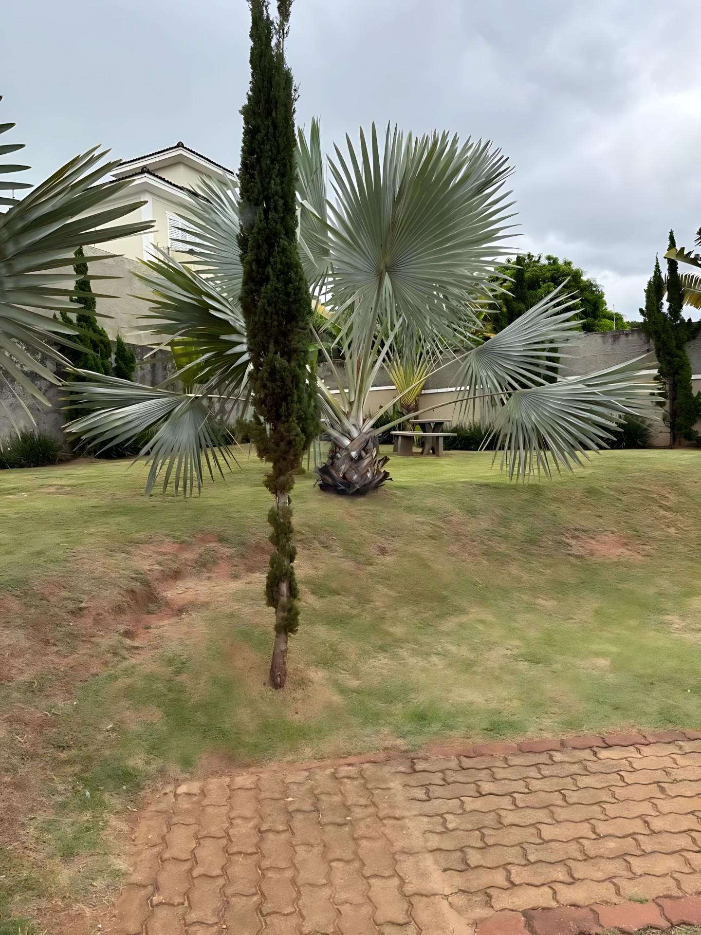 Apartamento à venda com 2 quartos, 1 banheiro, 1 vaga e 50m² no Jardim Sao Carlos, Sorocaba (SP) — foto 20 de 20