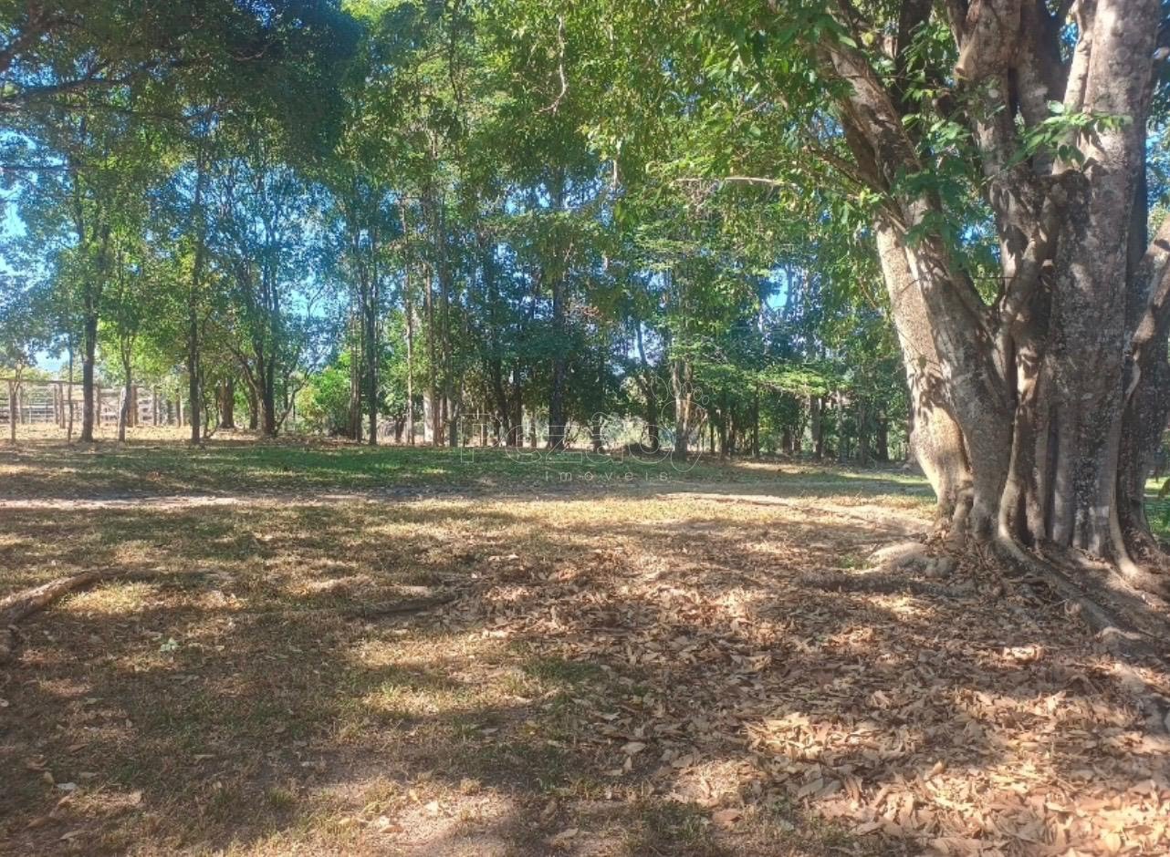Rural à venda no Imóvel Rural, Itapuranga (GO) — foto 8 de 30